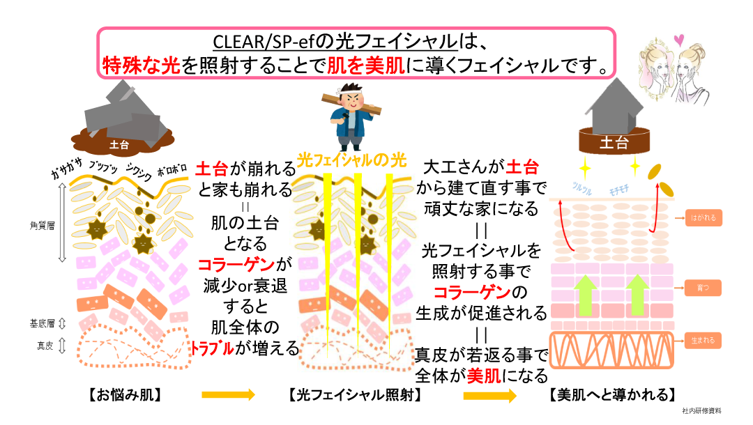 CLEAR/SP-efの光フェイシャル